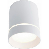 Светильник светодиодный накладной ARTE LAMP (A1909PL-1WH) d80x100 мм 9 Вт 220 В 4000К естественный белый свет IP20 цилиндрический белый