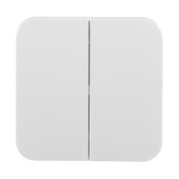 Выключатель Schneider Electric Blanca BLNVA105011 двухклавишный открытая установка белый