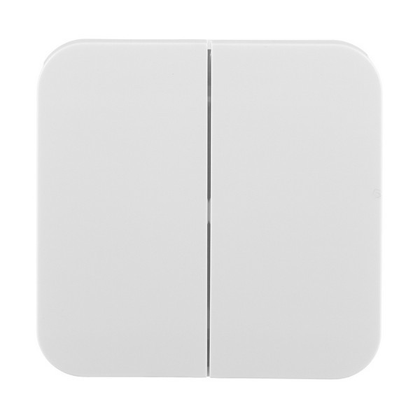 Выключатель Schneider Electric Blanca BLNVA105011 двухклавишный открытая установка белый