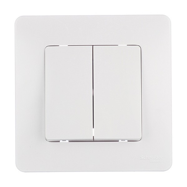Выключатель с рамкой Schneider Electric Blanca BLNVS010501 двухклавишный скрытая установка белый