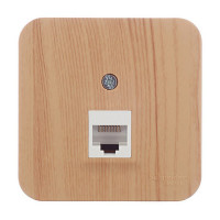 Розетка компьютерная Schneider Electric Blanca BLNIA045005 открытая установка ясень