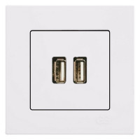 Розетка USB с рамкой GUNSAN Eqona 16401100-100353 скрытая установка белая IP20 два модуля USB