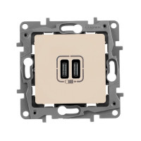 Розетка USB Legrand Etika 672235 скрытая установка белый два модуля USB