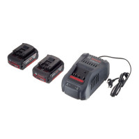 Аккумулятор Bosch (1600A00B8J) 18В 5Ач Li-Ion с зарядным устройством в комплекте (2 шт.)