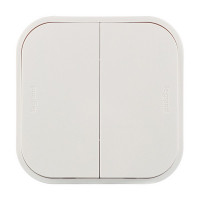 Выключатель Legrand Quteo 782202 двухклавишный открытая установка белый