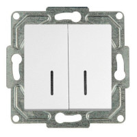 Выключатель GUNSAN Eqona 16401100-150104 двухклавишный скрытая установка белый IP20 с подсветкой